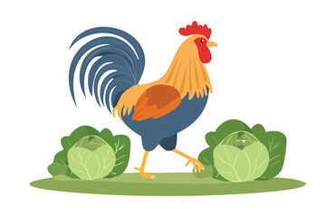 Cheerful Rooster with Fresh Green Cabbages