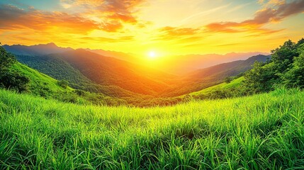 Sunset Mountain Meadow Landscape Panorama.