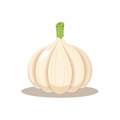 Single garlic bulb in soft tones with gentle, clean lines for food packaging.
