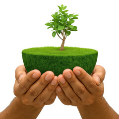 A person is holding a plant in their hands. The plant is surrounded by grass and he is growing in a small, round container. Concept of nurturing and care for the plant
