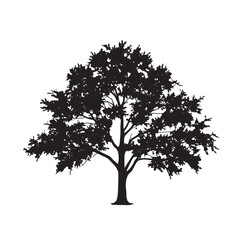 Black Silhouette of a Sugar Maple Tree