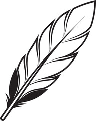 Obraz premium feather on white background