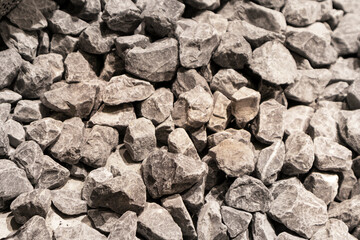 Medium-sized rock fragments along the walkway