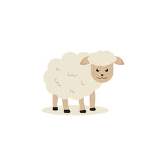 Sheep flat vector design, Cute sheep,  Domestic animal with thick wooly coat, livestock farming, cute sheep cartoon isolated on white background