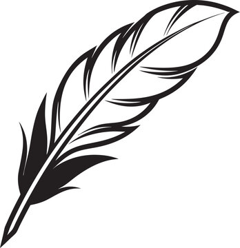 feather isolated on white