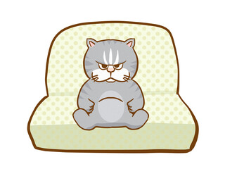 不機嫌な猫、ソファーに座る