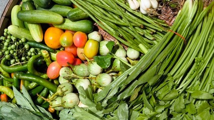 Fresh vegetables for cooking. Vegetables contain dietary fiber that helps cleanse the intestines.