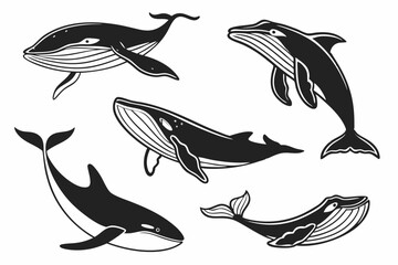 vector set of dolphins