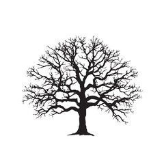 Walnut Tree Outline Silhouette Vector