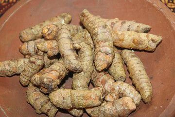 Organic Fresh Turmeric Roots in Clay Bowl – Herbal Medicine and Spice Ingredient