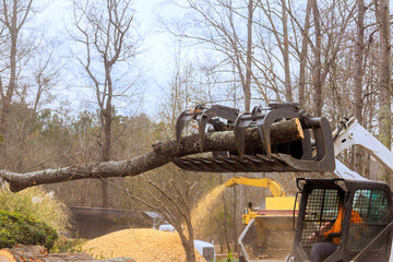Skid steer loader uses grapple attachment to lift large tree branch for clearing at forested location.