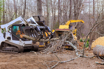 Skid steer loader machinery clears fallen branches in forest, creating paths preserving using tree grinder