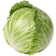 Realistic photograph of a complete cabbage
