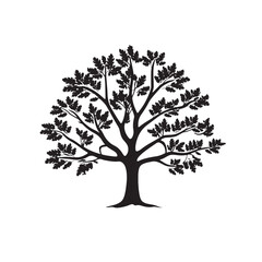 Obraz premium Walnut Tree Shape in Black Silhouette