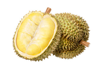 Fototapeta premium durian isolated on white background