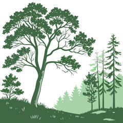 Obraz premium Professional green forest silhouette cutout, isolated trees on white background