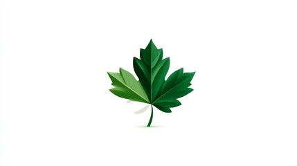 Fototapeta premium Elegant green maple leaf logo design illustration for nature and environment