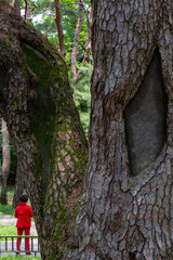 청령포 역사 풍경 이야기