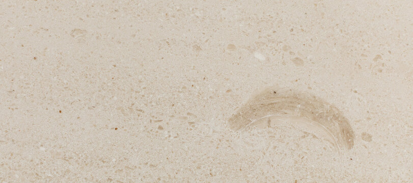 Photo of beige natural marble with abstract pattern, fossils.