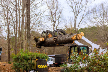 Construction equipment carefully lifts large logs from forest, showcasing removal operations in worker area