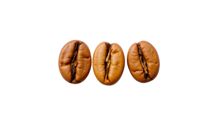 Three Coffee Beans Captured in Studio Light on a Black Background for Culinary and Beverage Themes