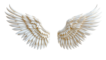 Elegant and Majestic White Angel Wings with Detailed Feathers Isolated on a Transparent Background