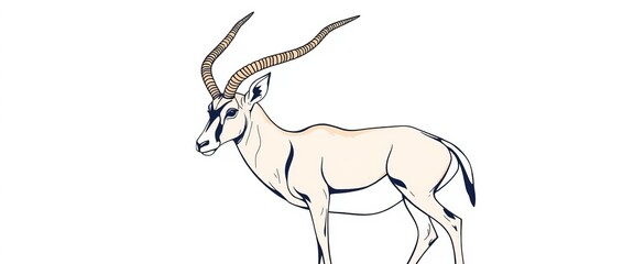 Elegant line art illustration of a gemsbok antelope, showcasing intricate details of horns and body, bovid, wildlife