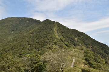 Forest Ridge Trail