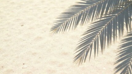 Obraz premium Serene Beach Scene Palm Fronds Cast Shadows on Soft Sand, Evoking a Sense of Tranquility and Summer Relaxation