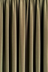 Close-up of olive-toned drapes