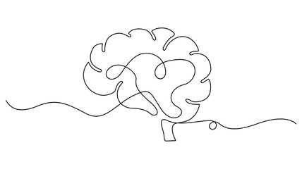 Continuous Single Line Drawing of a Human Brain