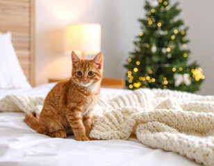 Adorable Red Kitten Lying on Bed in Natural Light – Cute Pet Cat on White Bedding