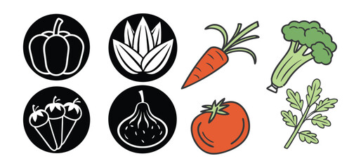 Fresh and colorful vector illustrations of various healthy vegetables with outlined black and white elements on white background