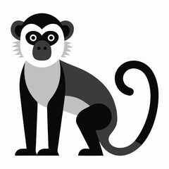 Obraz premium vervet-monkey-on-white-background--.svg