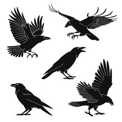 Obraz premium crow icon set of 5 silhouette icon vector on white (1).eps
