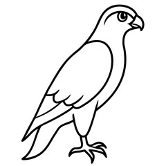 Fototapeta premium hawk-on-white-background-- (1).svg