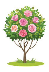 Fototapeta premium Pink Roses Topiary Tree Illustration
