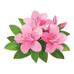Delicate Pink Azalea Flowers Illustration