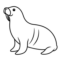 Obraz premium walrus-on-white-background--.svg