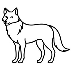 vector illustration of a wolf