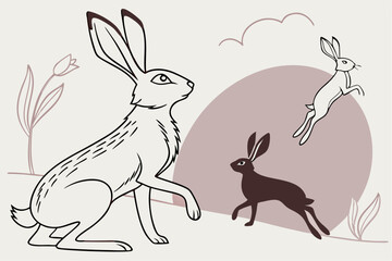 The Elegant Hare: Sketches & Silhouettes