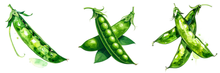Watercolorstyle pea pods in abundance