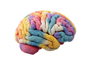 Colorful Brain Model on Transparent Background, PNG