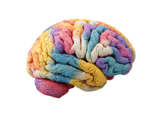 Colorful Brain Model on Transparent Background, PNG