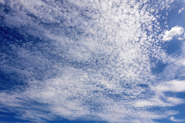 Fototapeta premium A wide blue sky full of fluffy white clouds in the afternoon light