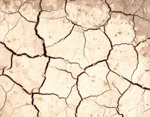 Obraz premium cracked ground surface due to the dry season
