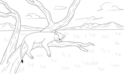 Children_s coloring lion sleeping in safari