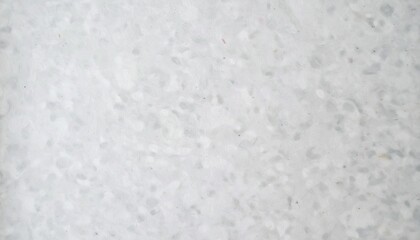 Fototapeta premium 白和紙風テクスチャ背景｜シンプルで上品なデザイン素材