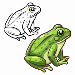 green frog on white background