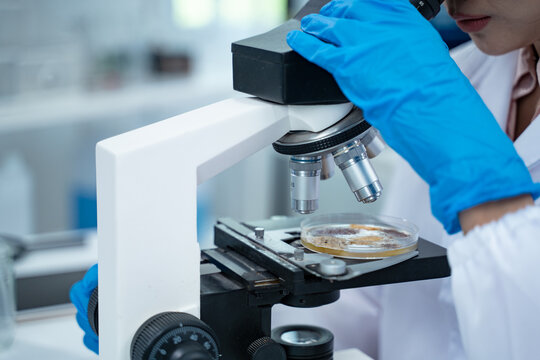 Multidisciplinary science students work in a modern lab analyzing microbial samples to support research in biology chemistry health and other scientific fields